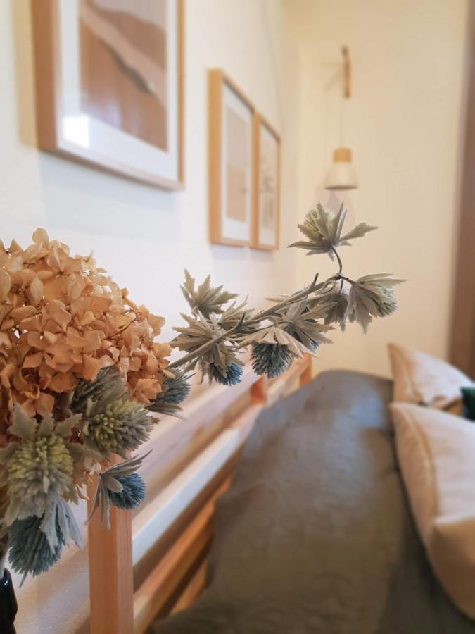 Quintinha Do Sal - Casa Das Flores อัลกาแซร์โดซัล ภายนอก รูปภาพ