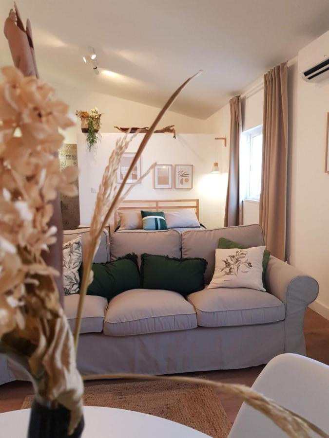 Quintinha Do Sal - Casa Das Flores อัลกาแซร์โดซัล ภายนอก รูปภาพ
